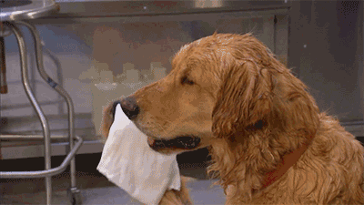 游泳館空氣能熱水工程